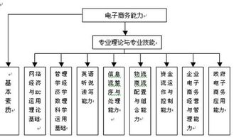 电子商务专业包括什么