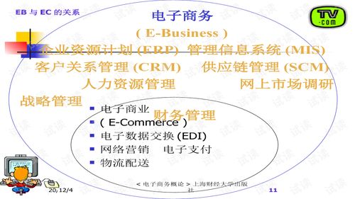 电子商务专业概述