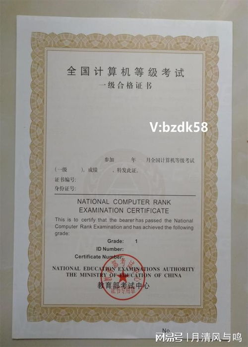电子商务专业要考什么证