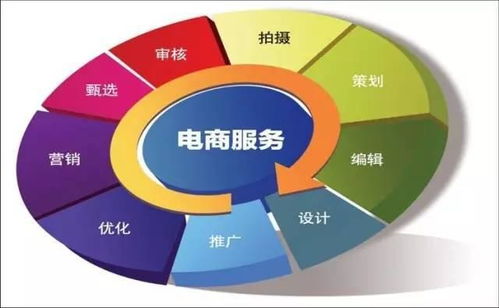 电子商务的专业的地位