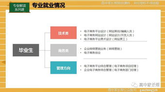 考研电子商务专业科目