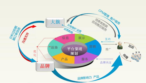 电子商务专业有哪些经历