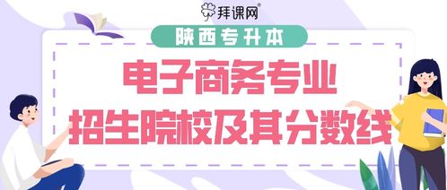 陕西电子商务升本专业