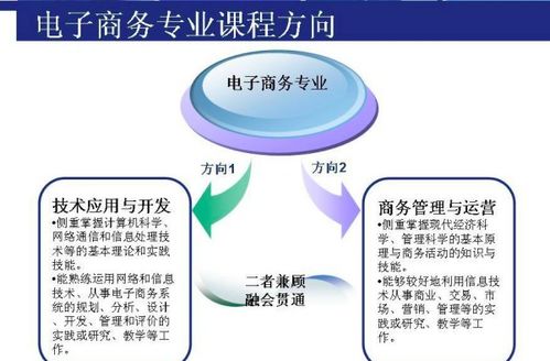 垮电子商务专业考研方向