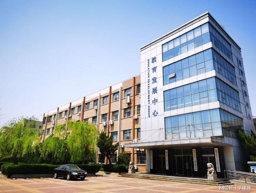 男孩大专电子商务专业