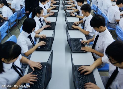 电子商务专业出来了干啥