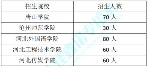 山东电子商务专升本专业