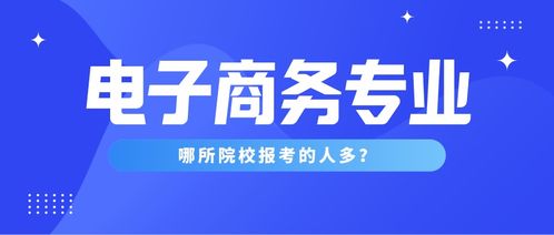 那些专业可调剂电子商务