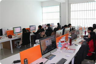 为什么不读电子商务专业