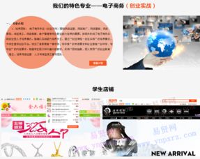 什么系研究电子商务专业