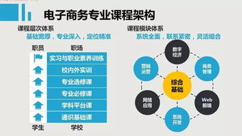 电子商务专业最新课程
