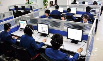 电子商务专业去做什么