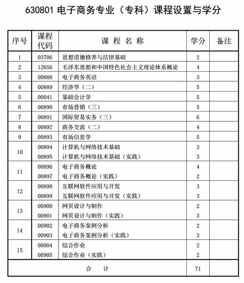 电子商务专业本科规划