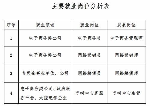 电子商务专业描述及特长
