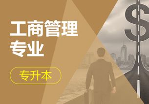 小高考专业选择电子商务