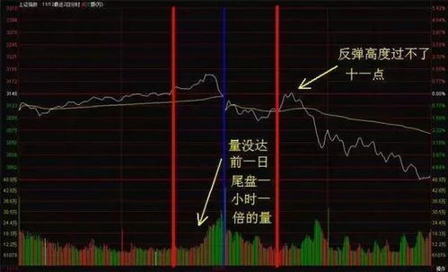 台退将：经历实战检验 成飞赚麻了