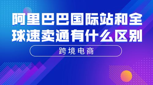跨国电子商务专业怎么样